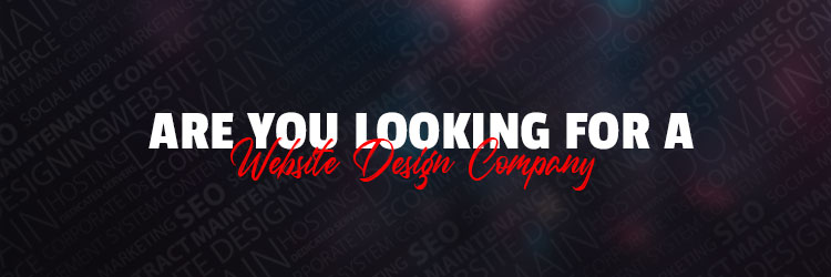 Are You Looking For Website Design Company?