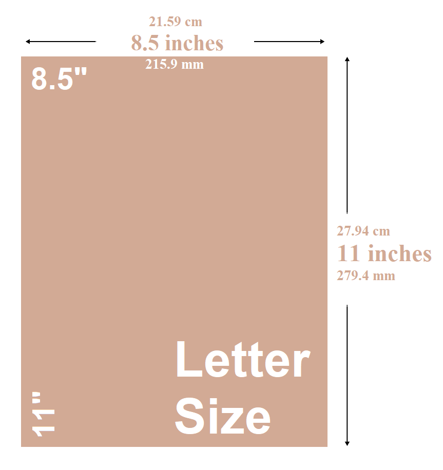 Standard Letter Size Flyer (8.5 x 11 inches)