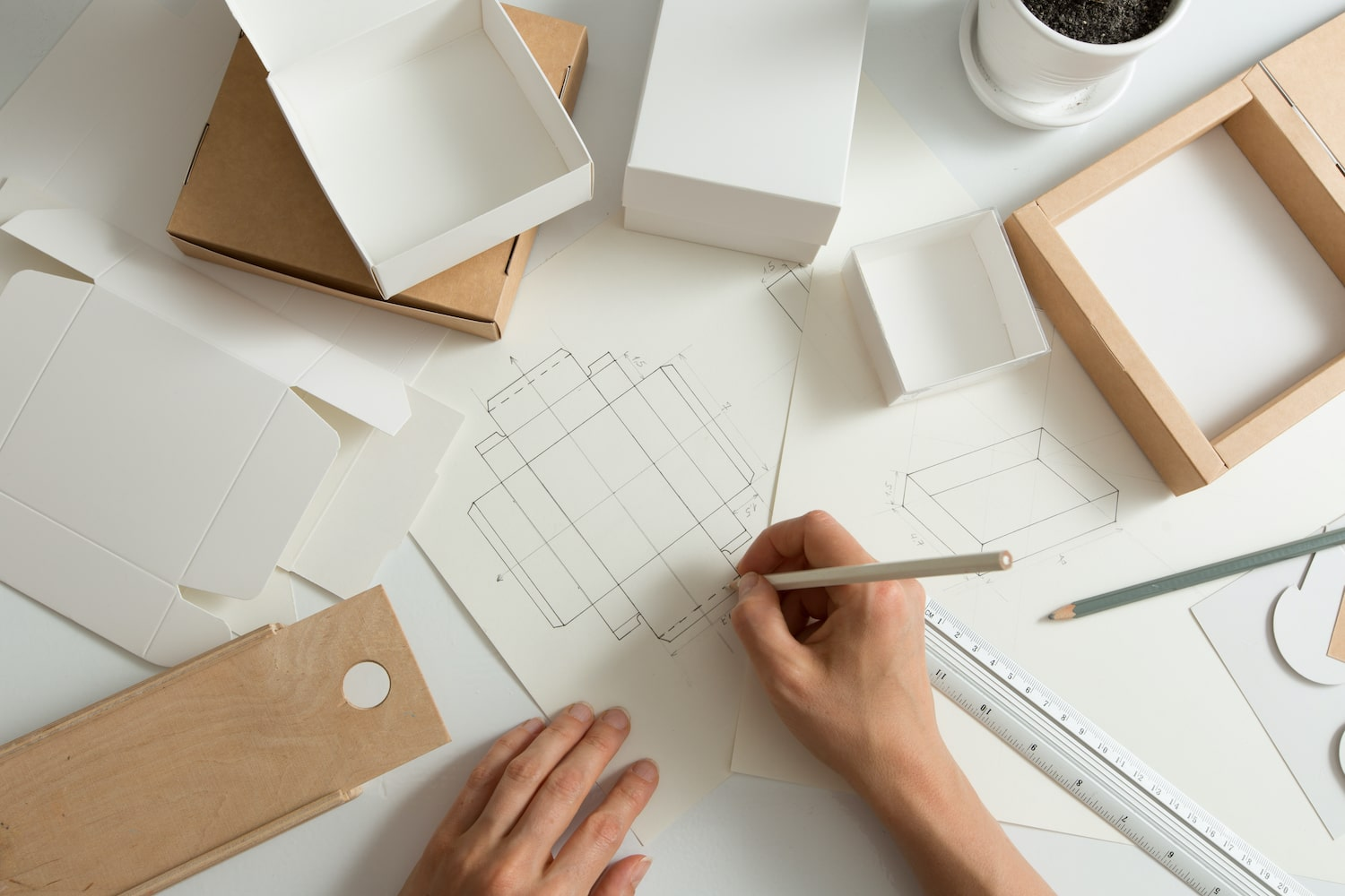 Dieline & Folding Box Designing Services