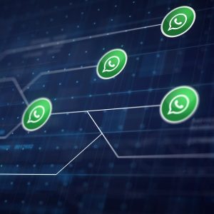 Whatsapp Chat CRM Package 1