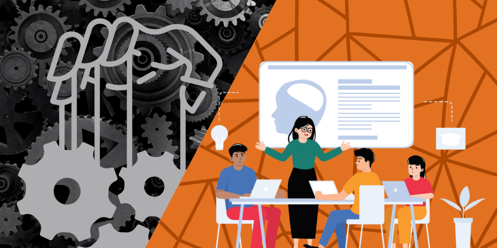 Audience for Email Marketing