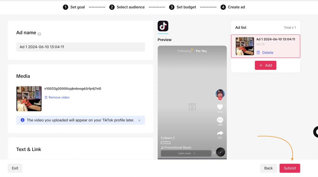 TikTok Ads