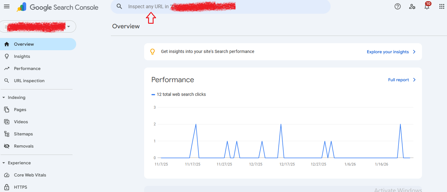 URL Inspection