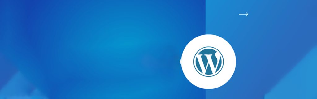 WordPress development services in Karachi