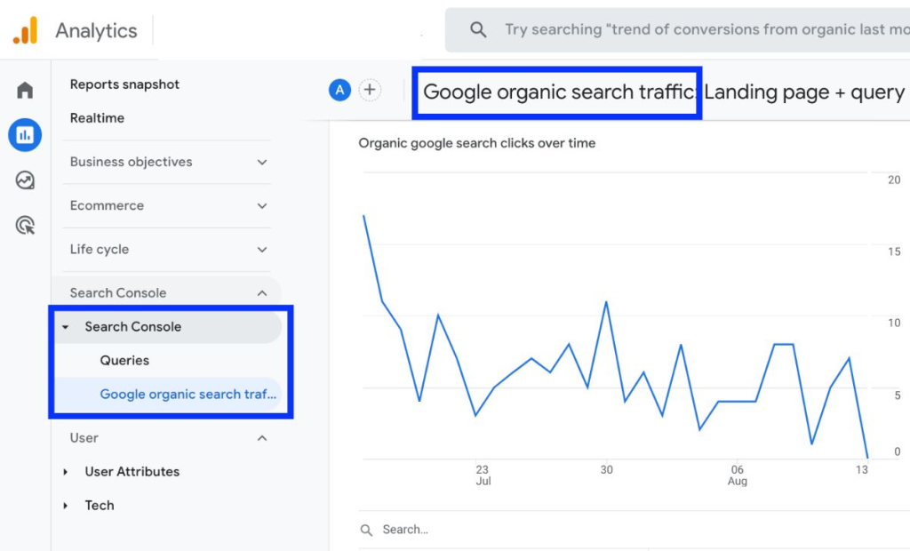 Google Analytics Traffic
