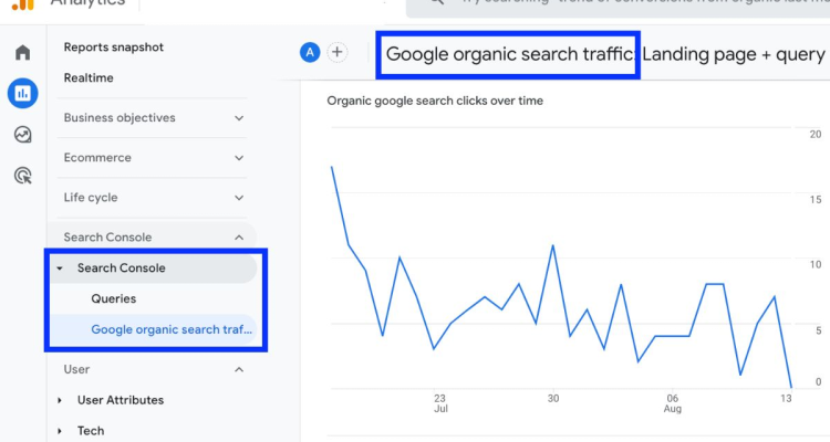 Google Analytics Traffic